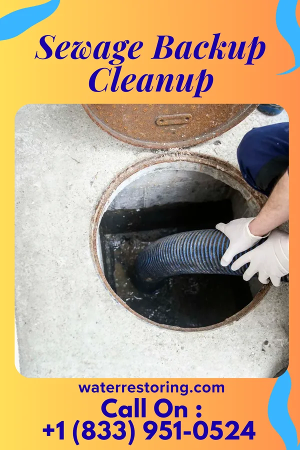 Sewage Backup Cleanup in Middlefield, OH