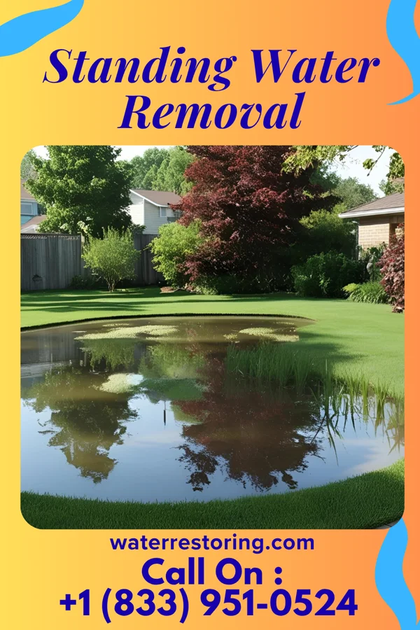 Standing Water Removal in Middlefield, OH